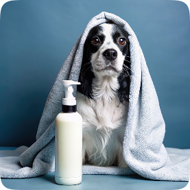 Beaphar Shampoo bottle